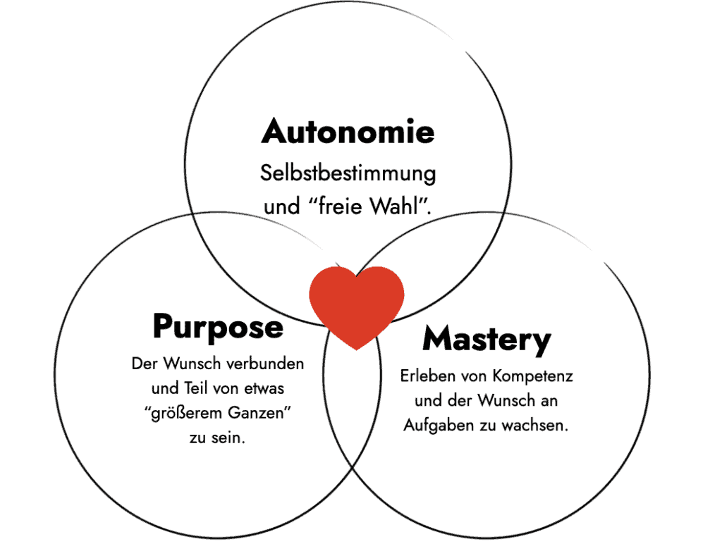 Die Eckpfeiler intrin sischer Motivation_ Autonomie, Purpose, Mastery.