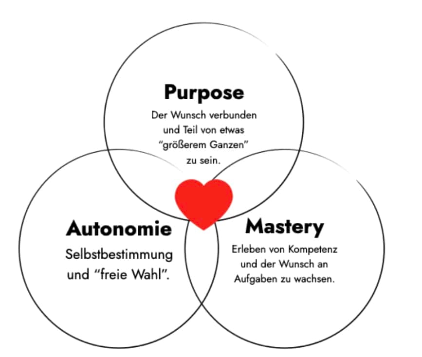 Schaubild Purpose, Autonomie, Mastery