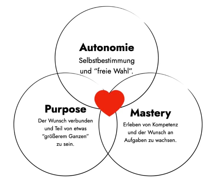 Schaubild: Schnittmenge von Autonomie, Purpose und Mastery. Drei Eckpfeiler intrinsischer Motivation nach dem Buch „Drive“.