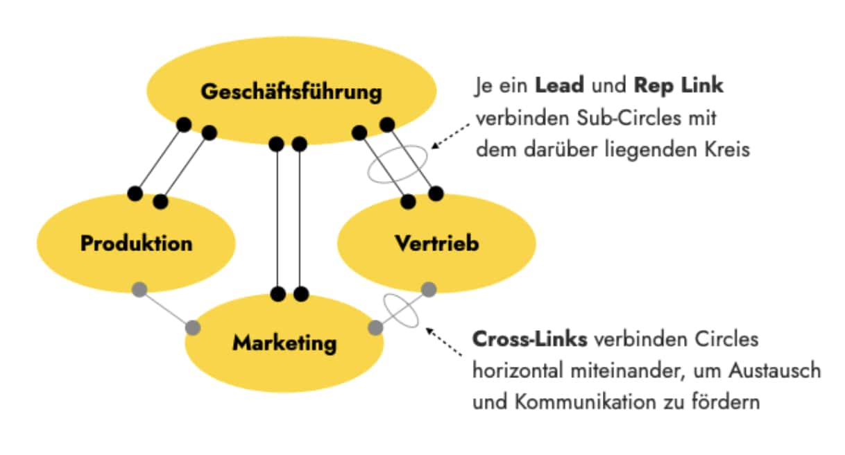 Der prototypische Aufbau einer holokratischen Organisation.