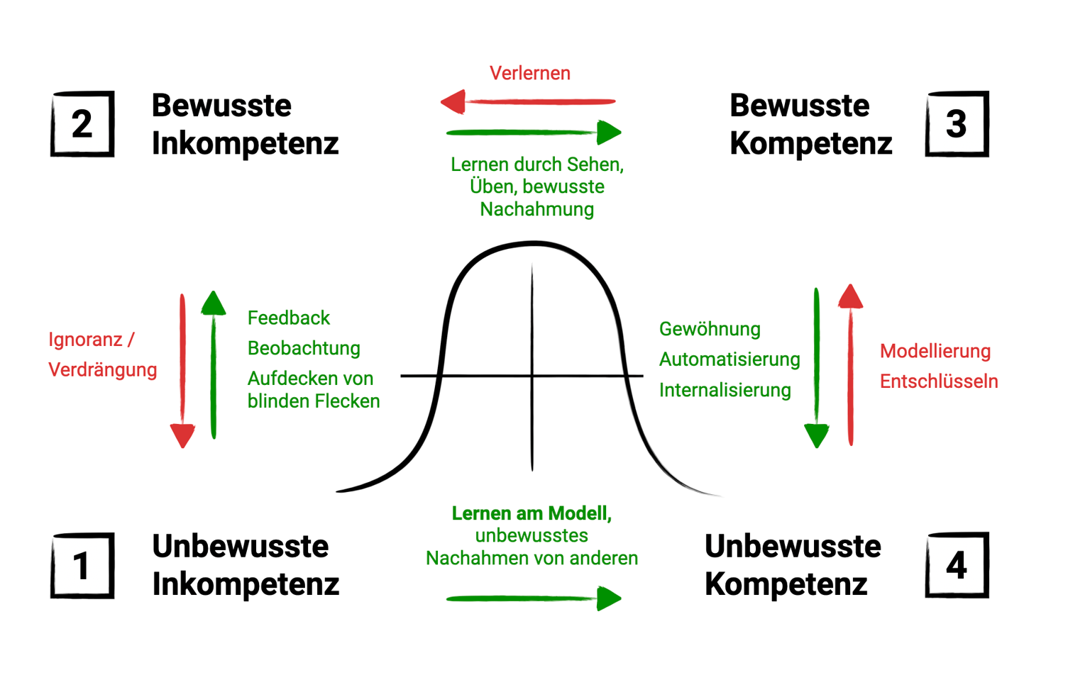 Schaubild: die vier Stufen des Lernens