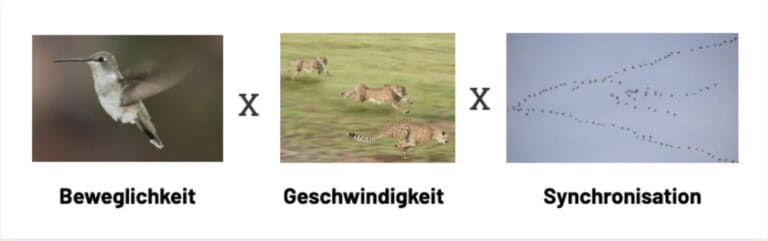 Bierdeckelformel für Agilität in drei Bildern: Kolibri (Beweglichkeit), Geparden (Geschwindigkeit), Vogelschwarm in Formation (Synchronisation)